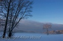 Winter Mist NH2812